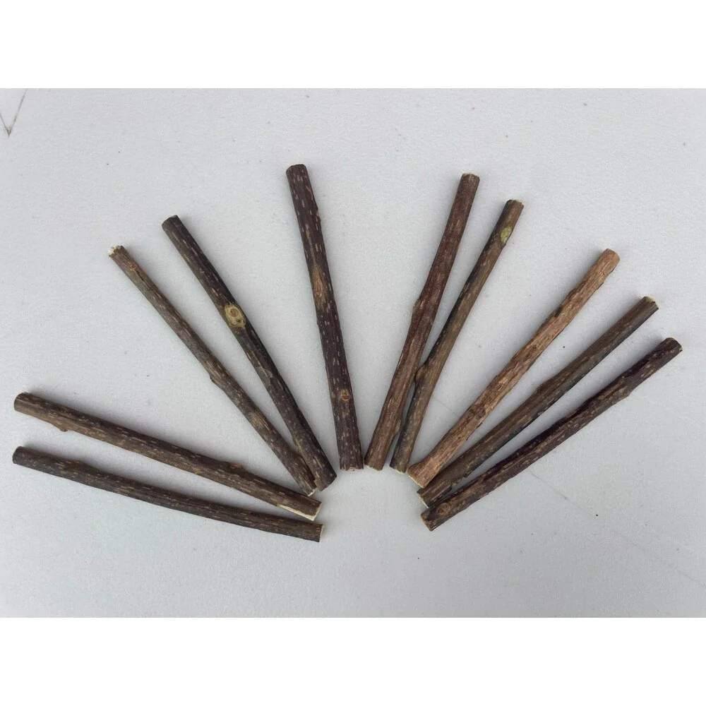 Matatabi Cat Chew Sticks All Natural Catnip Alternative | Silvervine Cat Toys